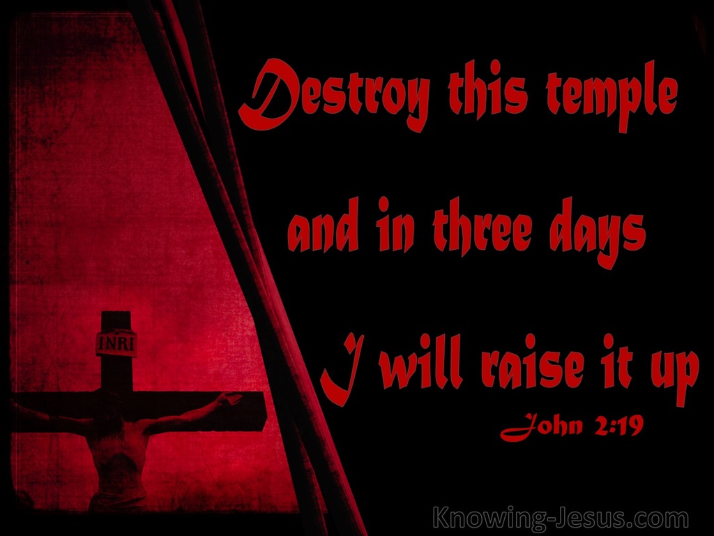 John 2:19 Destroy This Temple And I Will Raise It Up (black)